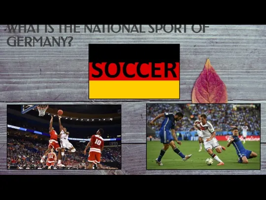 WHAT IS THE NATIONAL SPORT OF GERMANY? SOCCER