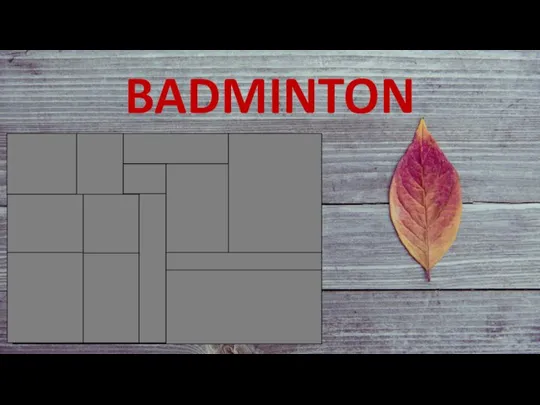 BADMINTON