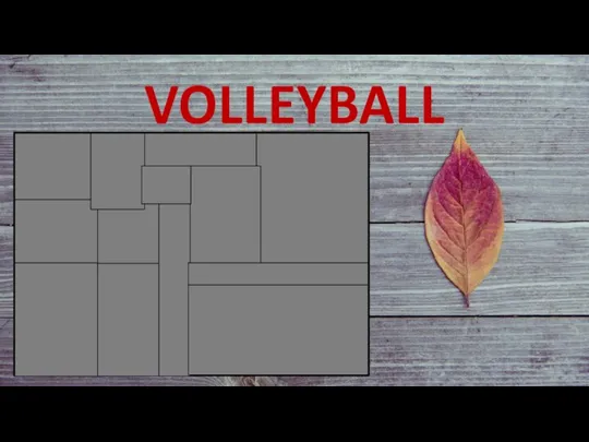 VOLLEYBALL