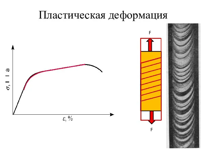 Пластическая деформация F F