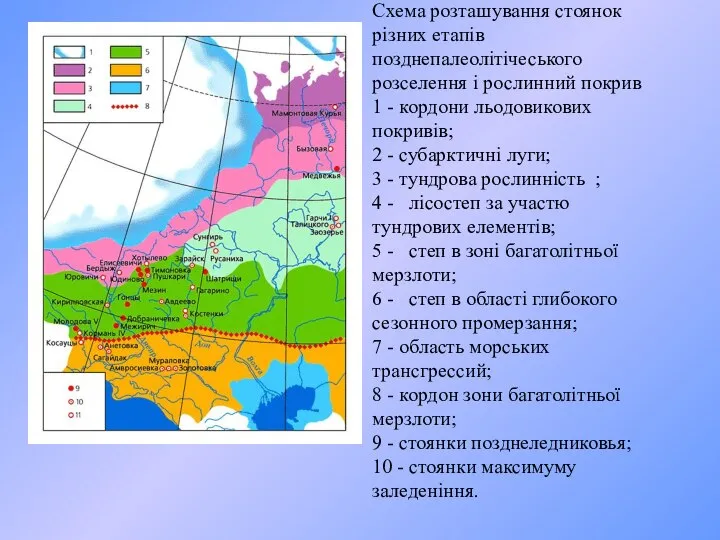 Схема розташування стоянок різних етапів позднепалеолітічеського розселення і рослинний покрив 1 -