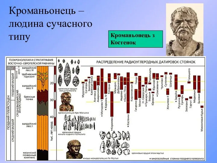 Кроманьонець – людина сучасного типу Кроманьонець з Костенок