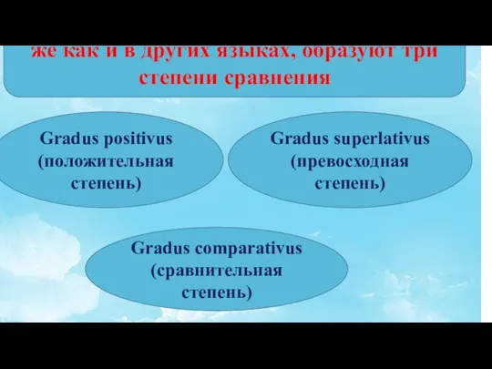 Прилагательные в латинском языке, так же как и в других языках, образуют