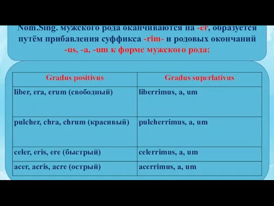 Превосходная степень прилагательных, которые в Nom.Sing. мужского рода оканчиваются на -er, образуется