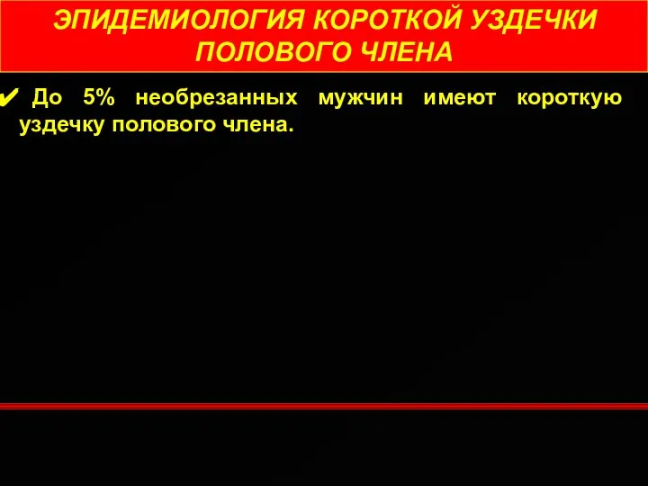 ЭПИДЕМИОЛОГИЯ КОРОТКОЙ УЗДЕЧКИ ПОЛОВОГО ЧЛЕНА До 5% необрезанных мужчин имеют короткую уздечку полового члена.