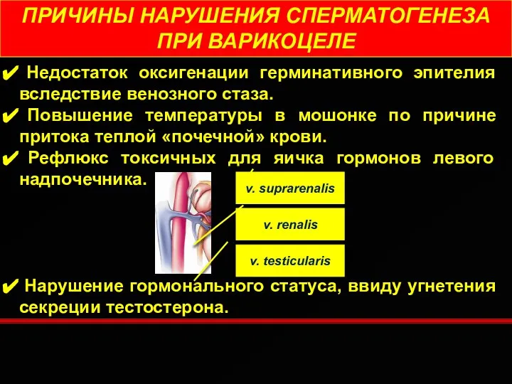 Недостаток оксигенации герминативного эпителия вследствие венозного стаза. Повышение температуры в мошонке по