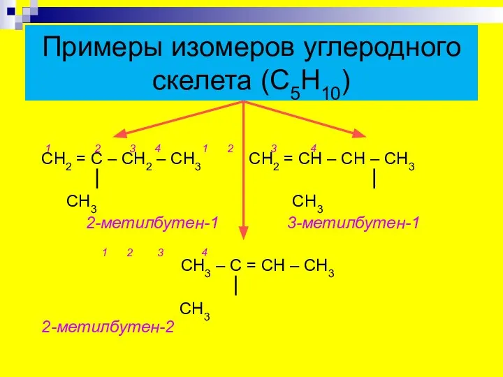 Примеры изомеров углеродного скелета (С5Н10) 1 2 3 4 1 2 3