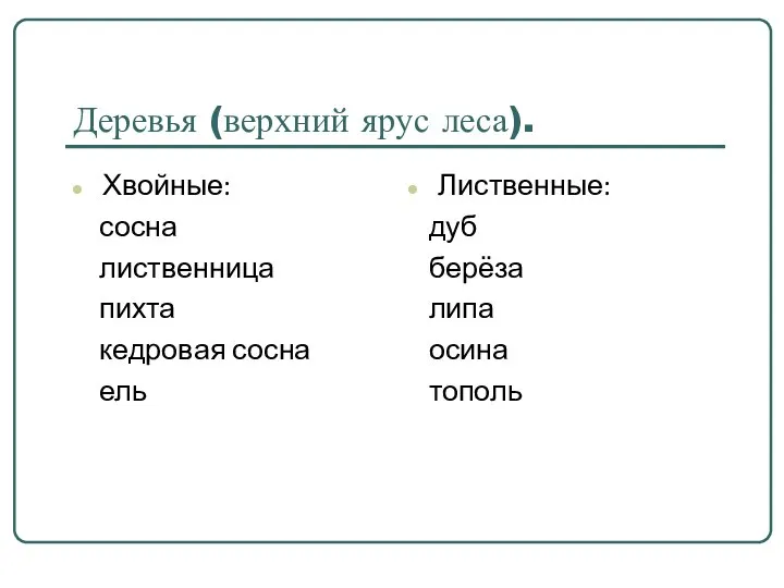 Деревья (верхний ярус леса). Хвойные: сосна лиственница пихта кедровая сосна ель Лиственные: