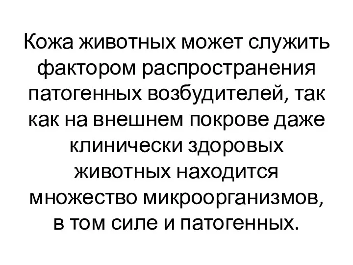 Кожа животных может служить фактором распространения патогенных возбудителей, так как на внешнем