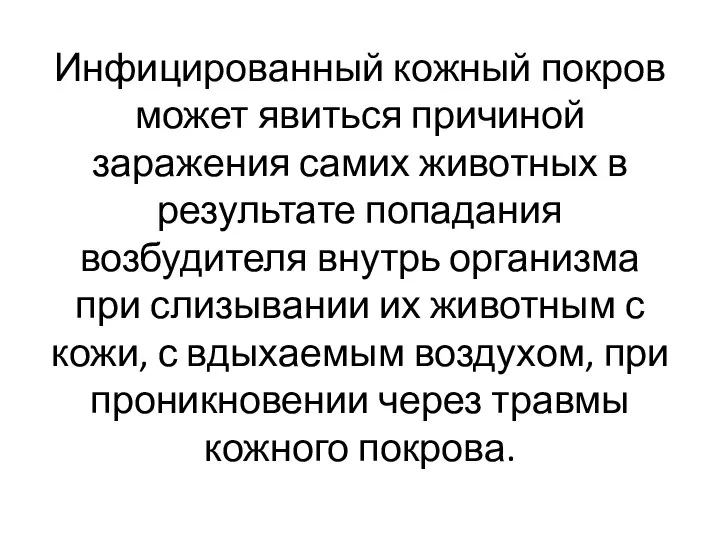 Инфицированный кожный покров может явиться причиной заражения самих животных в результате попадания