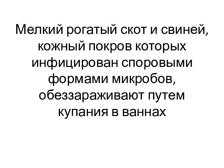 Мелкий рогатый скот и свиней, кожный покров которых инфицирован споровыми формами микробов,