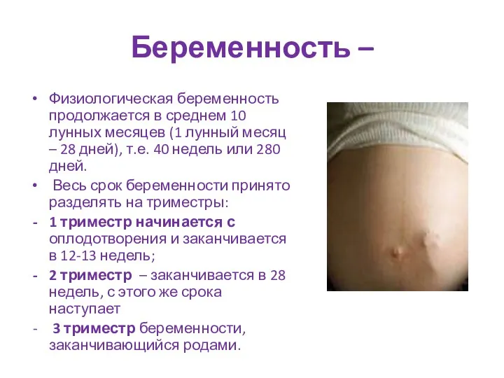 Беременность – Физиологическая беременность продолжается в среднем 10 лунных месяцев (1 лунный