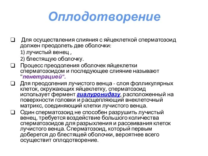 Оплодотворение Для осуществления слияния с яйцеклеткой сперматозоид должен преодолеть две оболочки: 1)