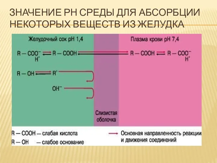 ЗНАЧЕНИЕ РН СРЕДЫ ДЛЯ АБСОРБЦИИ НЕКОТОРЫХ ВЕЩЕСТВ ИЗ ЖЕЛУДКА