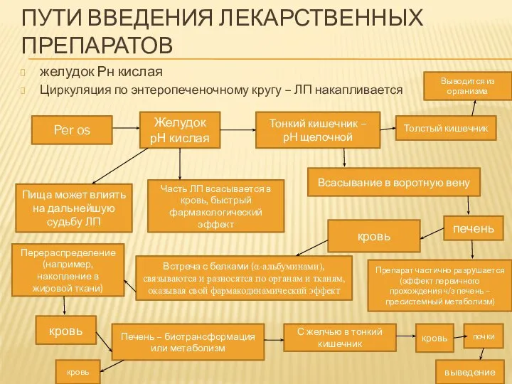 ПУТИ ВВЕДЕНИЯ ЛЕКАРСТВЕННЫХ ПРЕПАРАТОВ желудок Рн кислая Циркуляция по энтеропеченочному кругу –