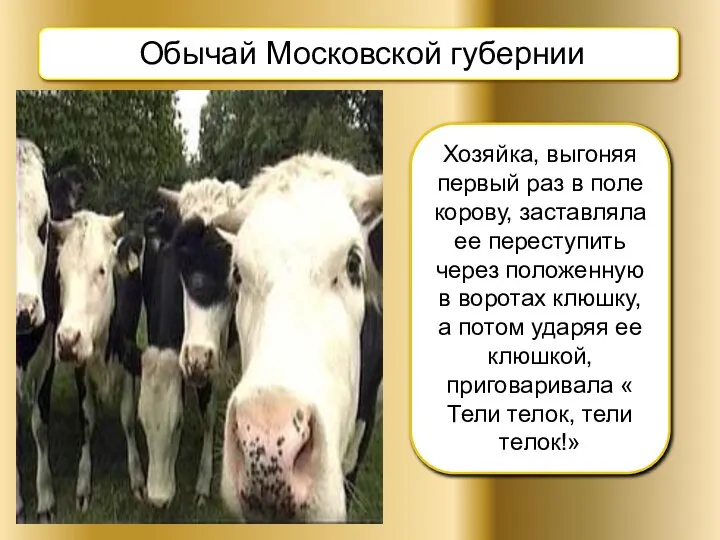 Обычай Московской губернии Хозяйка, выгоняя первый раз в поле корову, заставляла ее