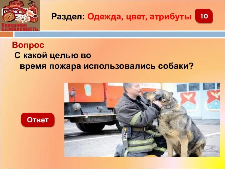 Ответ Вопрос С какой целью во время пожара использовались собаки? Раздел: Одежда, цвет, атрибуты 10