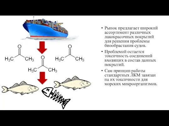 Рынок предлагает широкий ассортимент различных лакокрасочных покрытий для решения проблемы биообрастания судов.