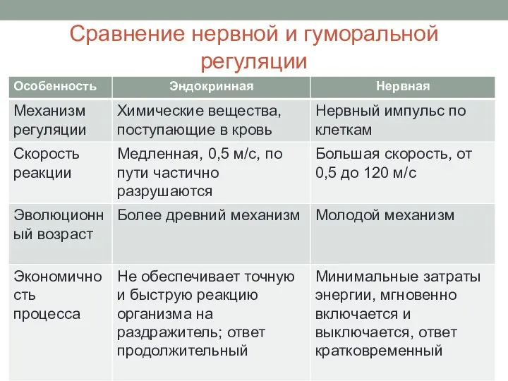 Сравнение нервной и гуморальной регуляции