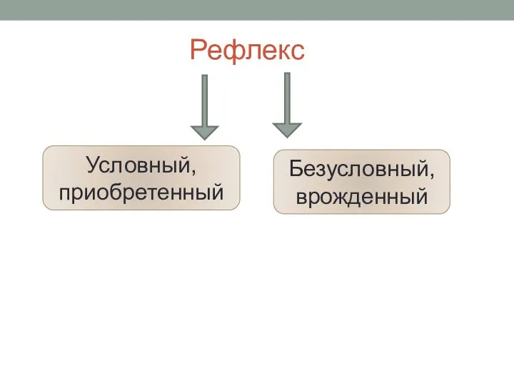 Рефлекс Безусловный, врожденный Условный, приобретенный