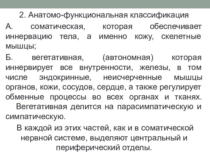 2. Анатомо-функциональная классификация А. соматическая, которая обеспечивает иннервацию тела, а именно кожу,