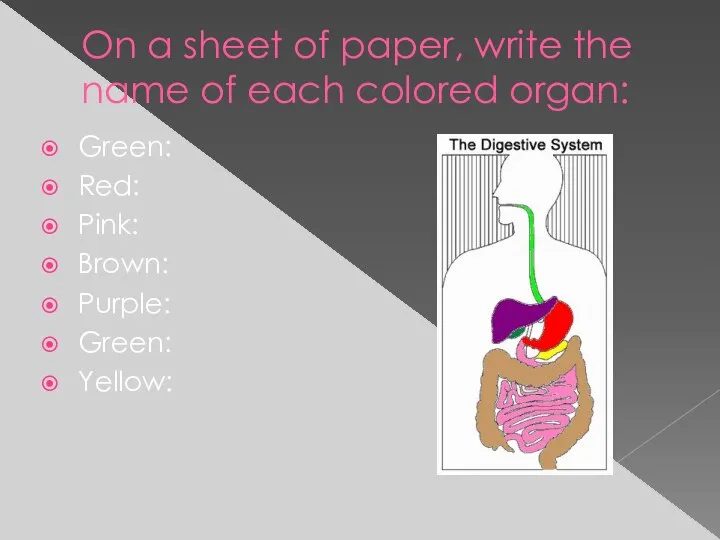 On a sheet of paper, write the name of each colored organ: