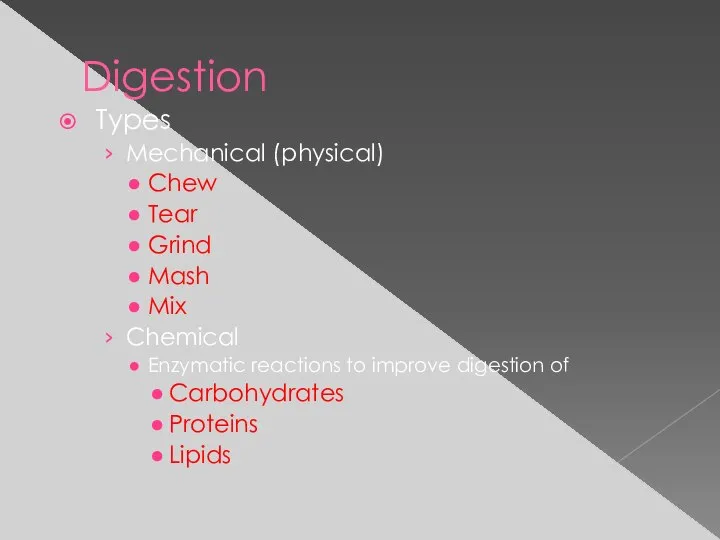 Digestion Types Mechanical (physical) Chew Tear Grind Mash Mix Chemical Enzymatic reactions