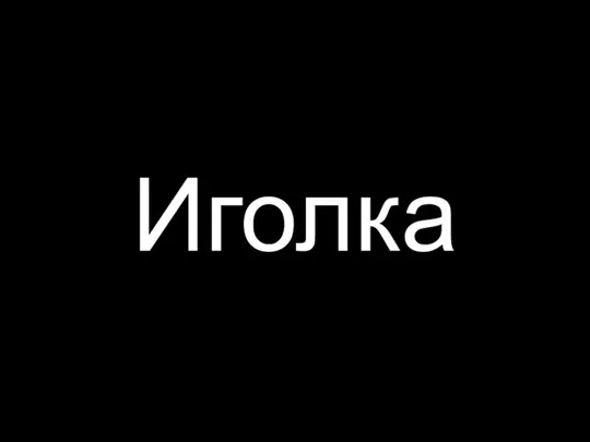 Иголка