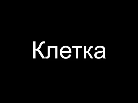 Клетка