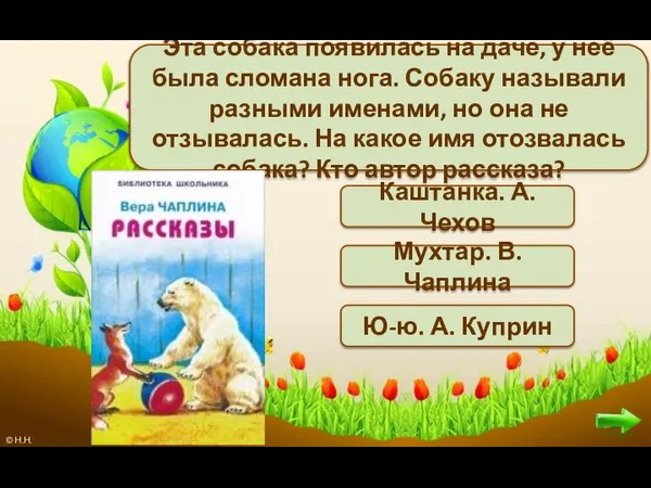 Эта собака появилась на даче, у неё была сломана нога. Собаку называли