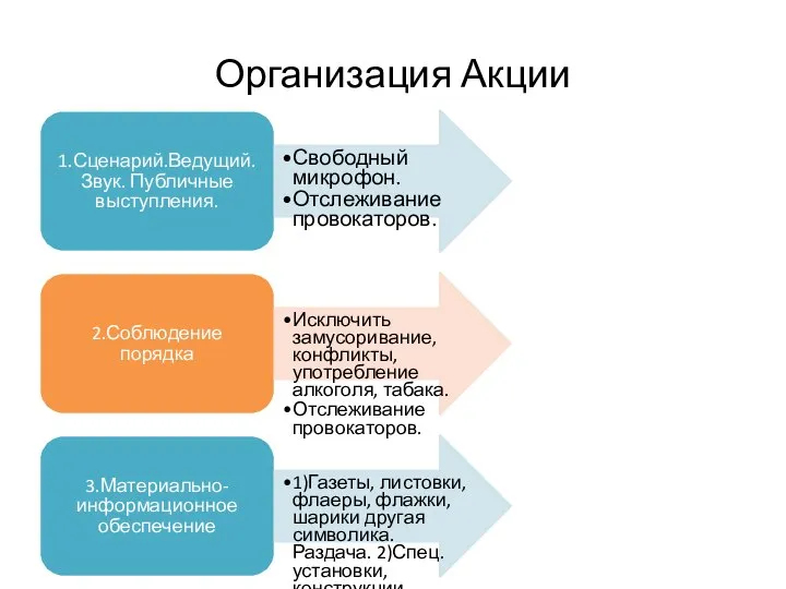 Организация Акции 1.Сценарий.Ведущий. Звук. Публичные выступления. Свободный микрофон. Отслеживание провокаторов. 2.Соблюдение порядка