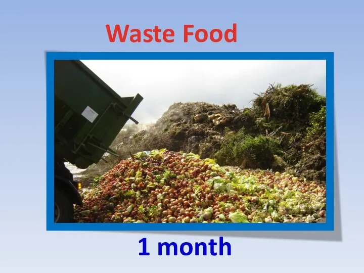 Waste Food 1 month
