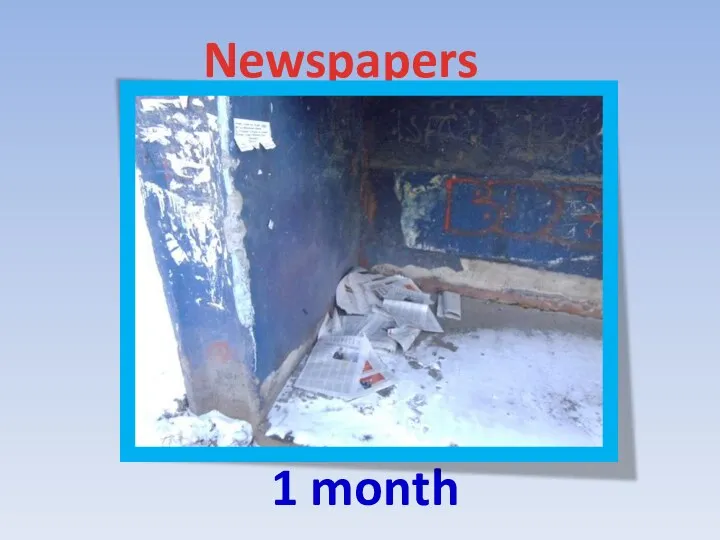 Newspapers 1 month