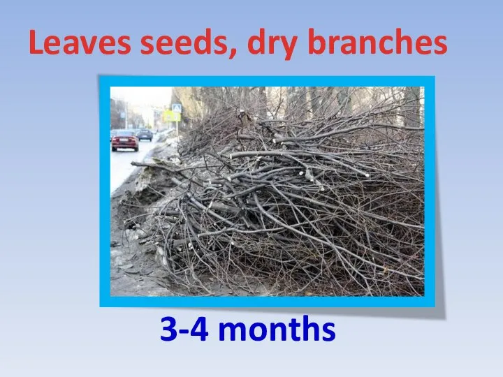 Leaves seeds, dry branches 3-4 months