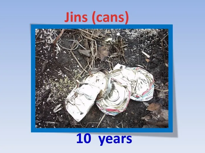 Jins (cans) 10 years