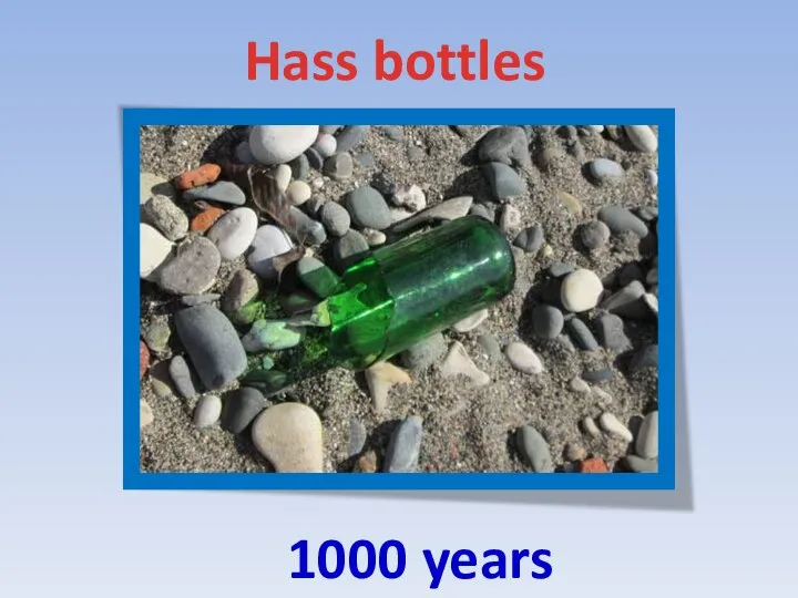 Hass bottles 1000 years