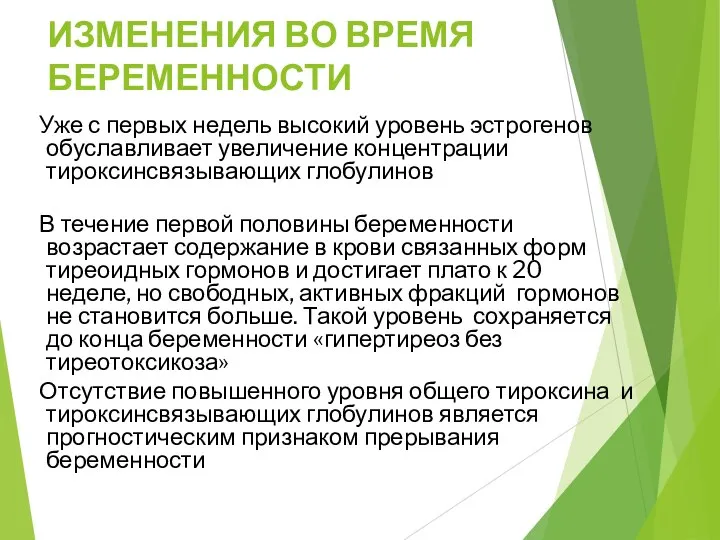 ИЗМЕНЕНИЯ ВО ВРЕМЯ БЕРЕМЕННОСТИ Уже с первых недель высокий уровень эстрогенов обуславливает