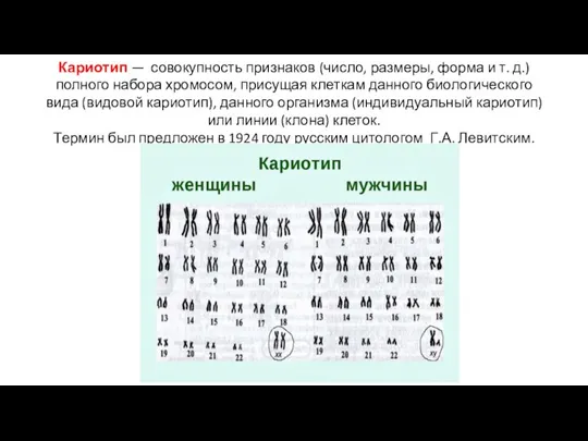 Кариотип — совокупность признаков (число, размеры, форма и т. д.) полного набора