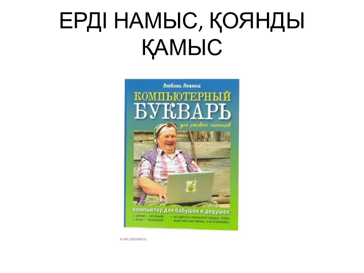 ЕРДІ НАМЫС, ҚОЯНДЫ ҚАМЫС