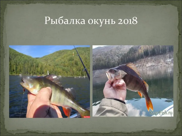 Рыбалка окунь 2018