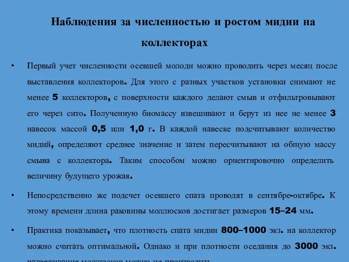 Наблюдения за численностью и ростом мидии на коллекторах Первый учет численности осевшей