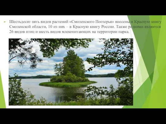 Шестьдесят пять видов растений «Смоленского Поозерья» внесены в Красную книгу Смоленской области,