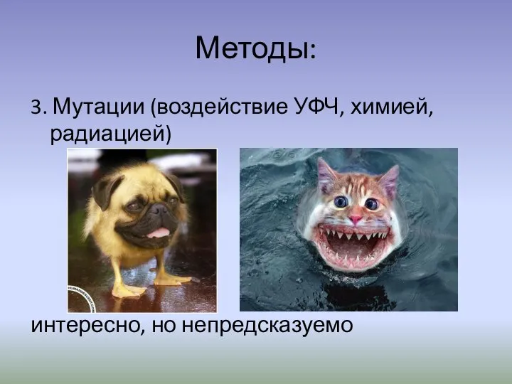 Методы: 3. Мутации (воздействие УФЧ, химией, радиацией) интересно, но непредсказуемо