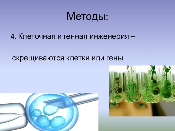 Методы: 4. Клеточная и генная инженерия – скрещиваются клетки или гены