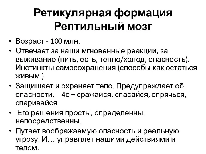 Ретикулярная формация Рептильный мозг Возраст - 100 млн. Отвечает за наши мгновенные