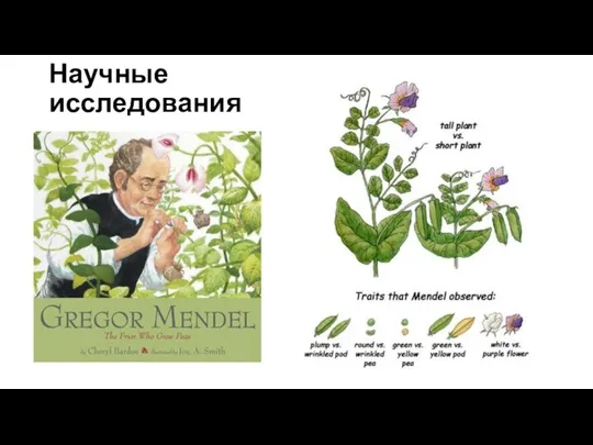 Научные исследования