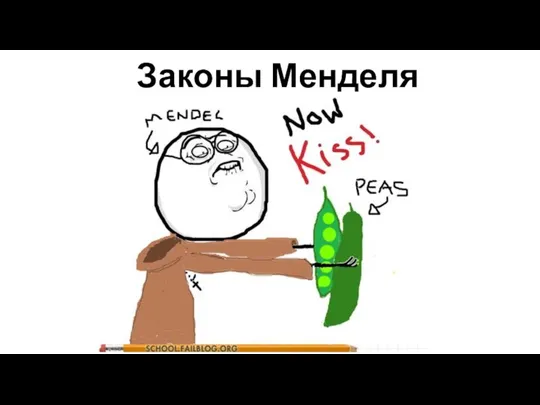 Законы Менделя