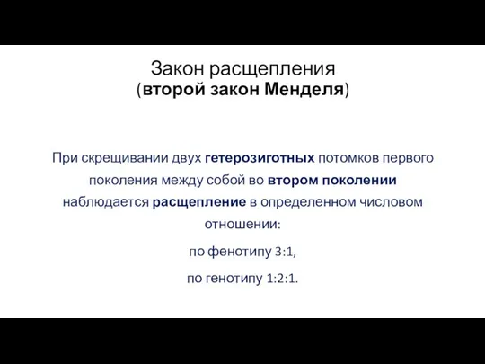 Закон расщепления (второй закон Менделя) При скрещивании двух гетерозиготных потомков первого поколения