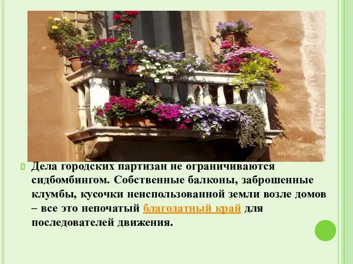 Дела городских партизан не ограничиваются сидбомбингом. Собственные балконы, заброшенные клумбы, кусочки неиспользованной