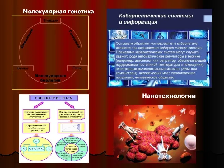 Молекулярная генетика Нанотехнологии